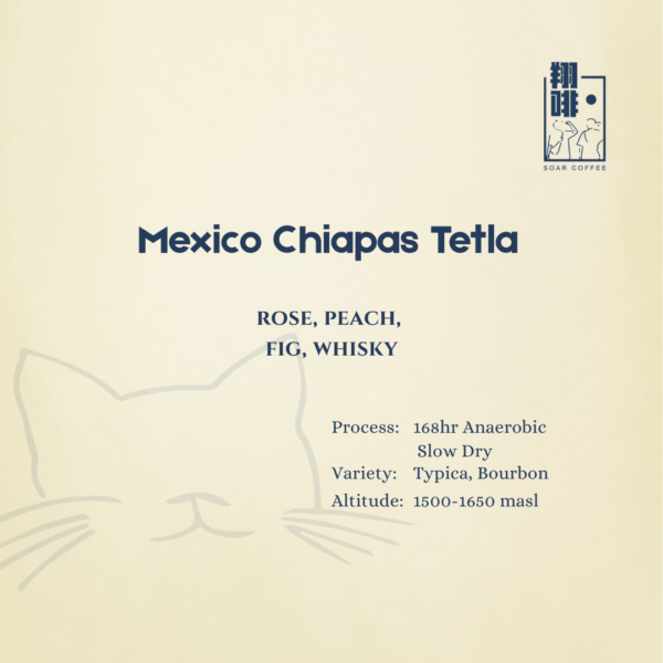 mexico chiapas tetla