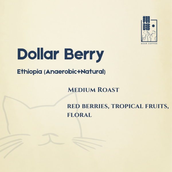 dollarberry blend