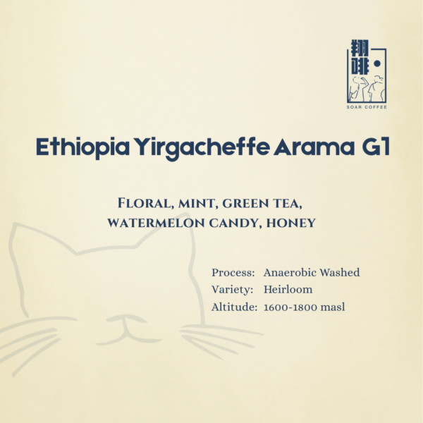 ethiopia yirgacheffe arama g1