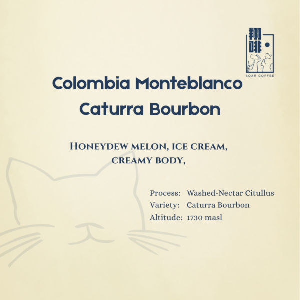 colombia monteblanco caturra bourbon