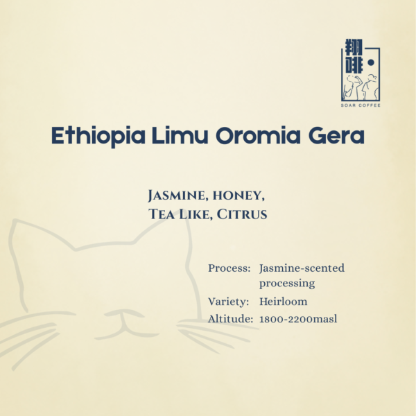 ethiopia limu oromia gera