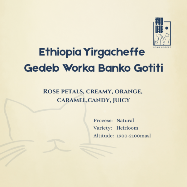 ethiopia yirgacheffe gedeb worka banko gotiti