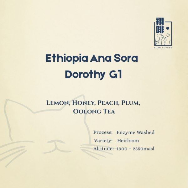 ethiopia ana sora taolecha g1