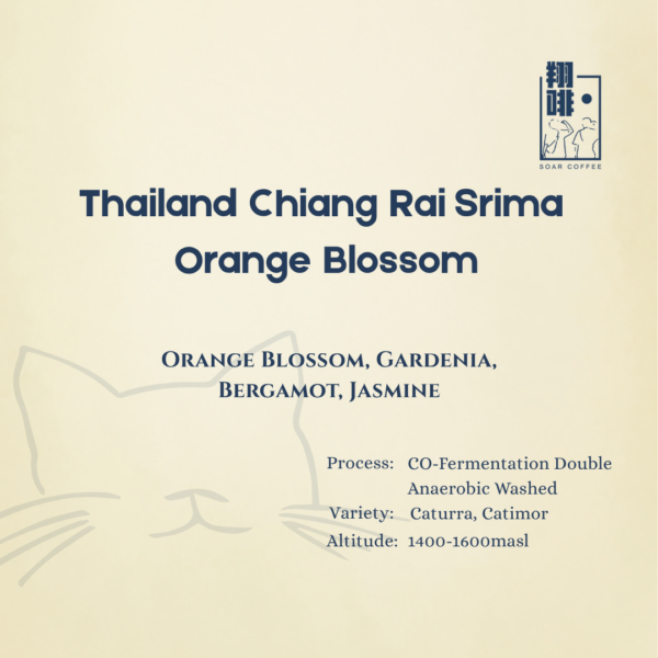thailand chiang rai srima orange blossom