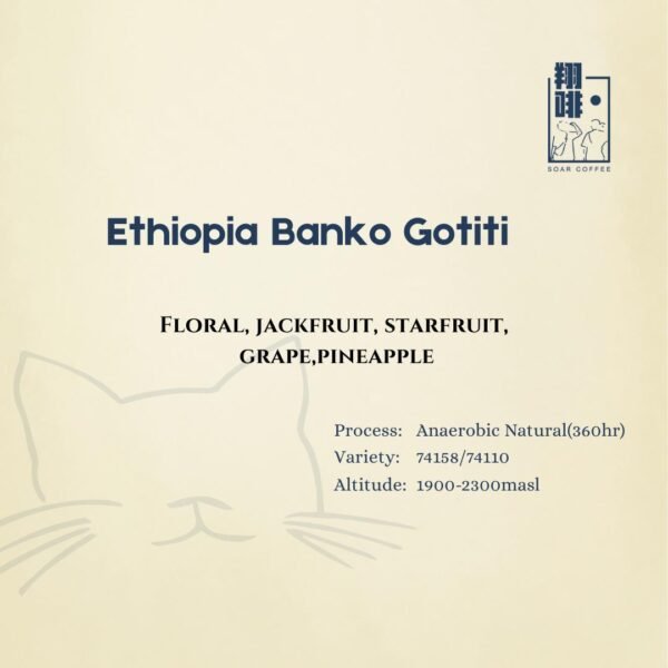 ethiopia banko gotiti