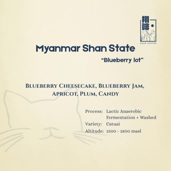 myanmar shan state "blueberry lot"