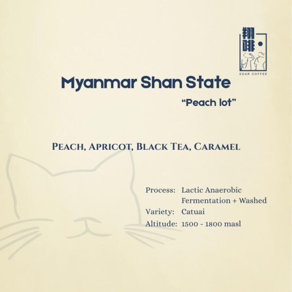 Home myanmar shan state "peach lot"