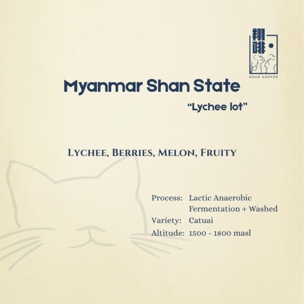 Home myanmar shan state "lychee"