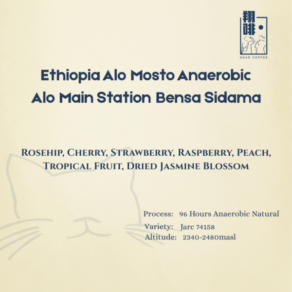 ethiopia alo mosto anaerobic alo main station bensa sidama