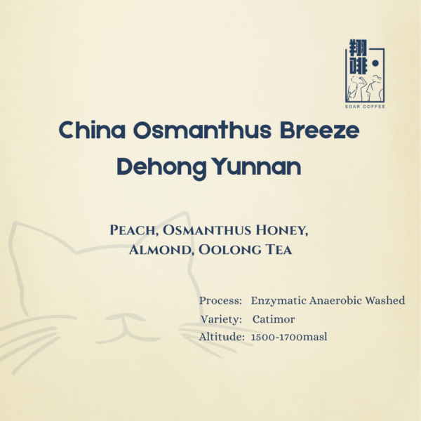 china osmanthus breeze dehong yunnan