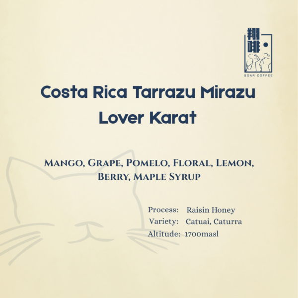 Home costa rica tarrazu mirazu lover karat