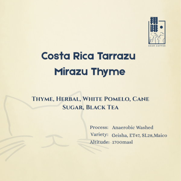 Home costa rica tarrazú mirazu thyme