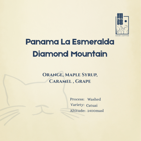 panama la esmeralda diamond mountain