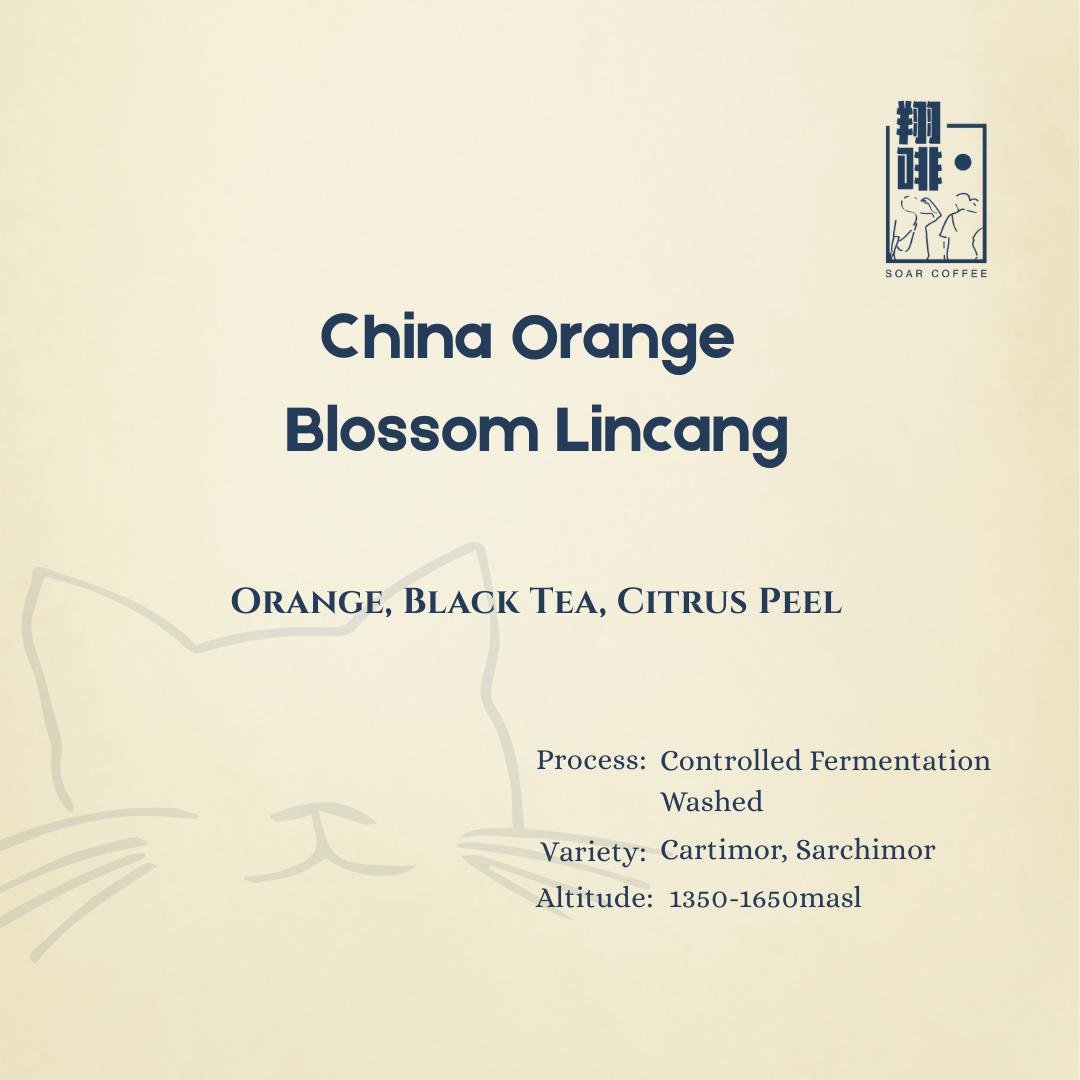 china orange blossom lincang china orange blossom lincang
