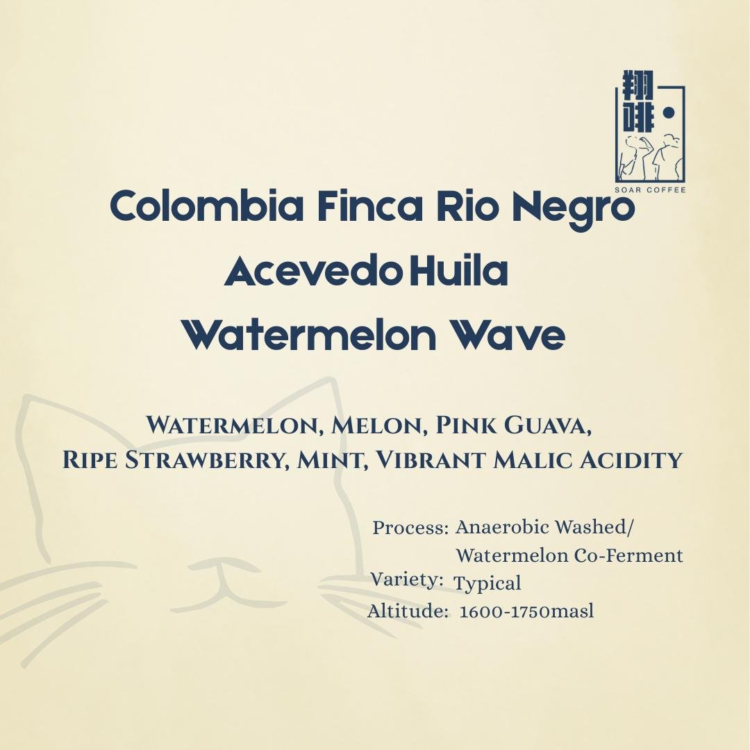 colombia finca rio negro acevedo huila watermelon wave colombia finca rio negro acevedo huila watermelon wave