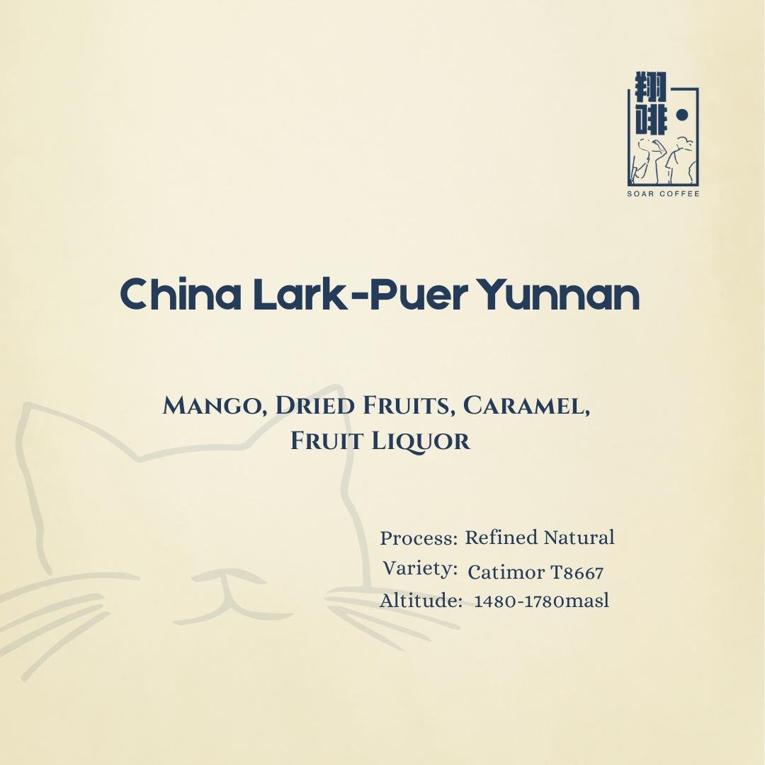 china lark puer yunnan china lark puer yunnan