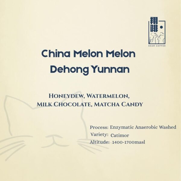 Home china melon melon dehong yunnan