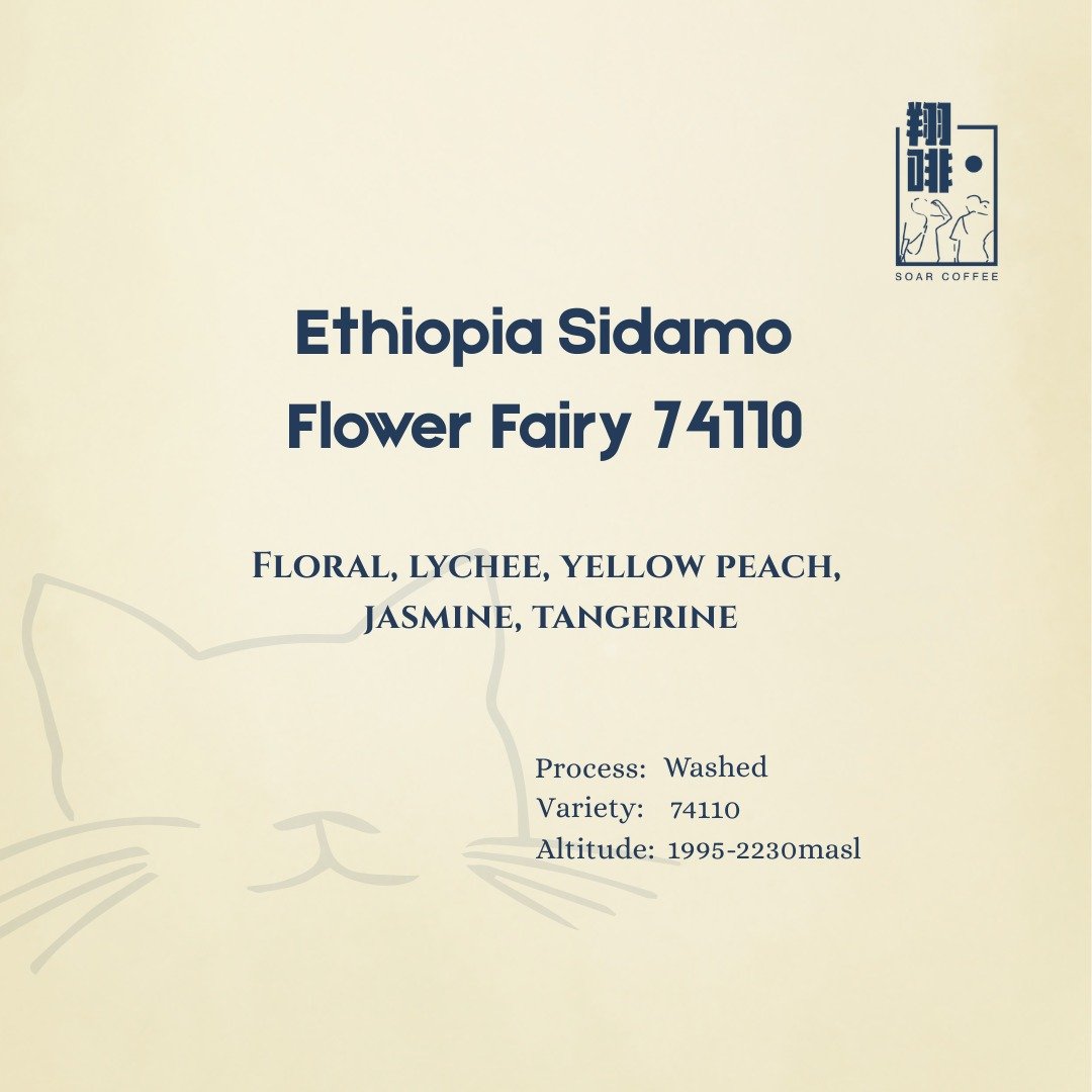 ethiopia sidamo flower fairy ethiopia sidamo flower fairy