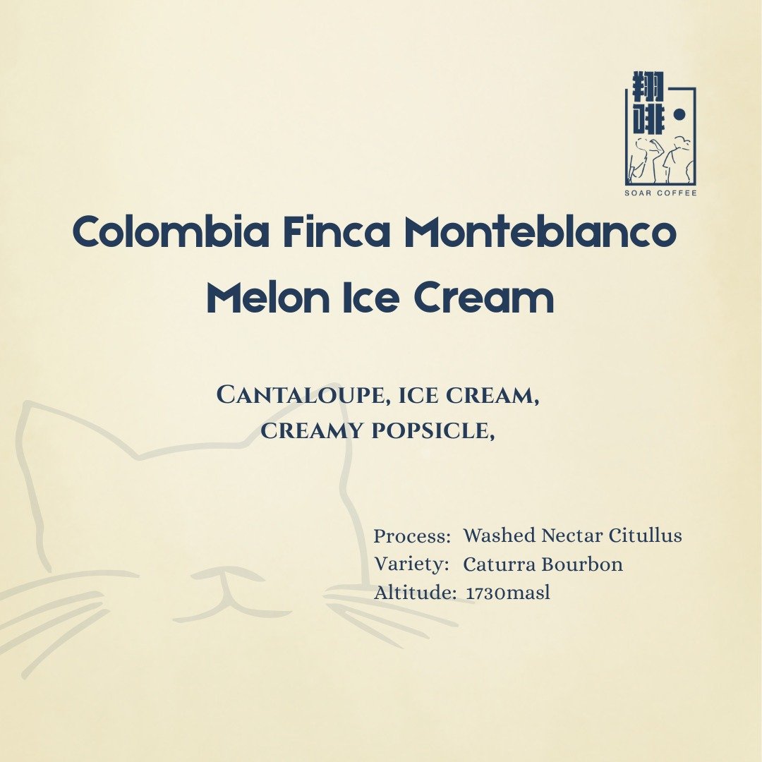 colombia finca monteblanco melon ice cream colombia finca monteblanco melon ice cream