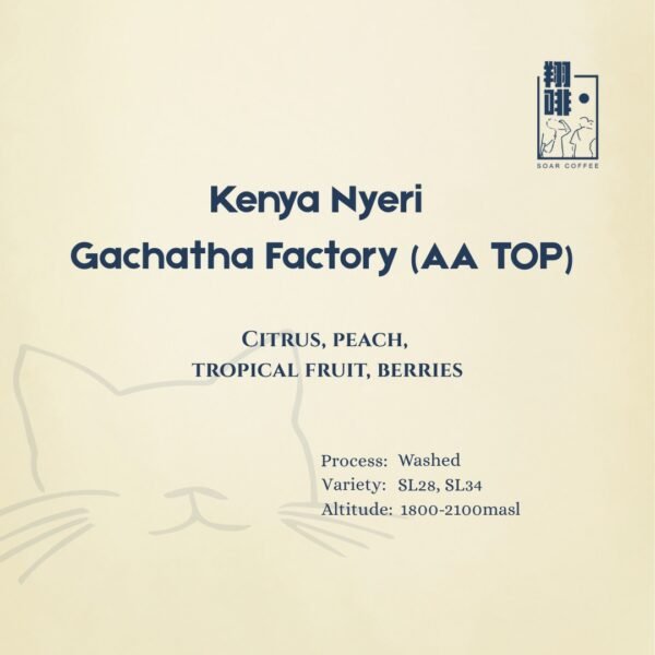 kenya nyeri gachatha factory (aa top)