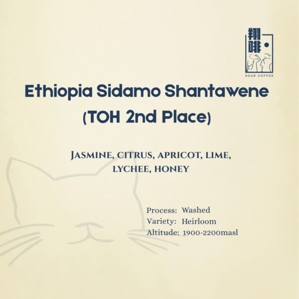 ethiopia sidamo shantawene (toh 2nd place)