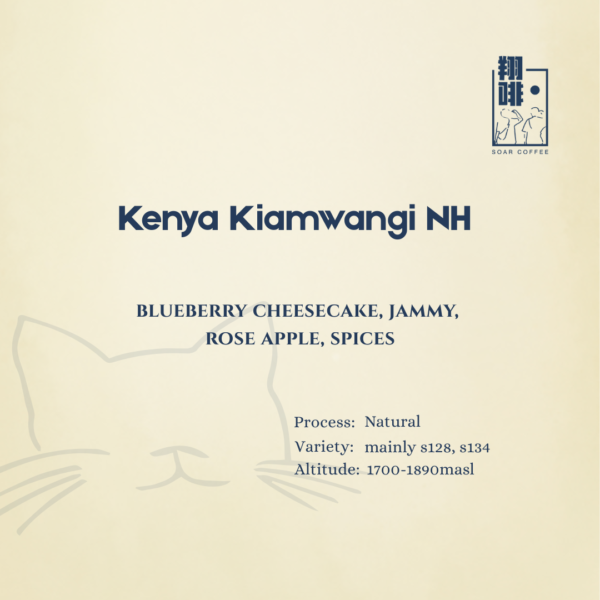 dollar blend (2)